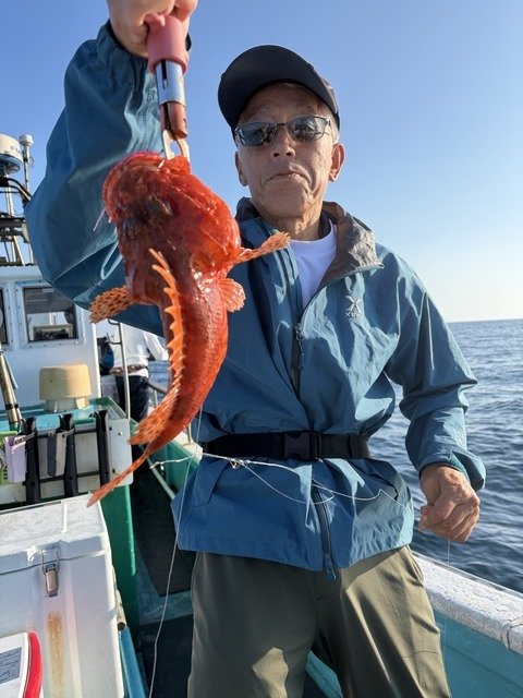 オニカサゴ