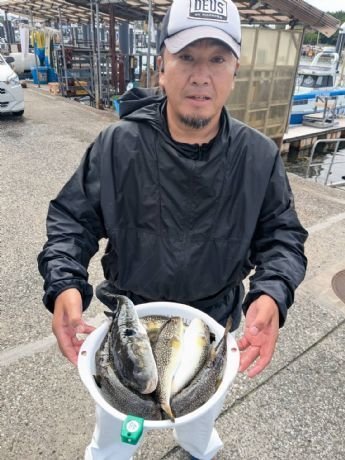 ショウサイフグ