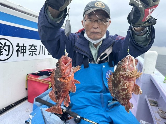 カサゴ