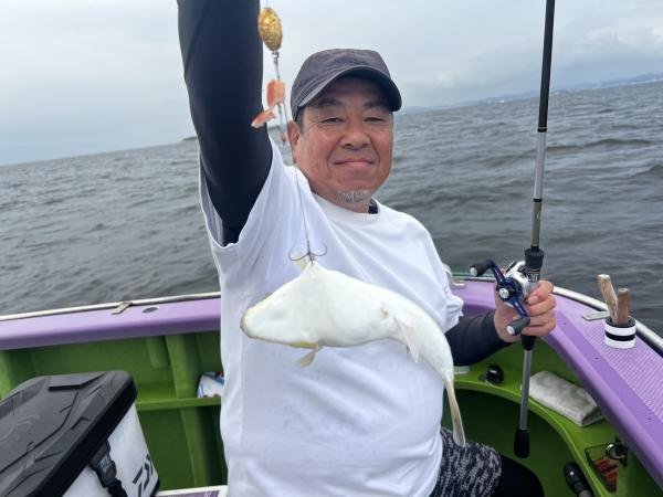 ショウサイフグ