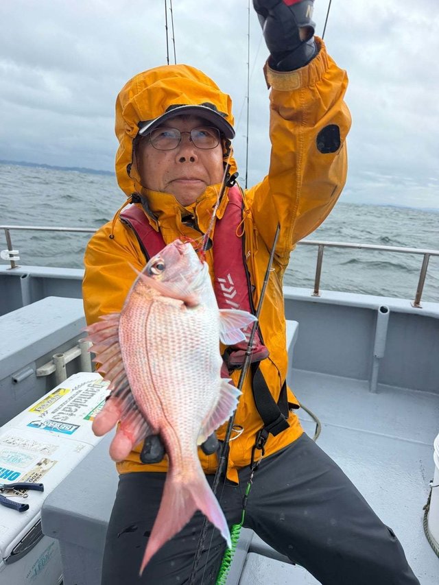 マダイ