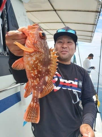 ウッカリカサゴ