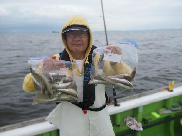 シロギス