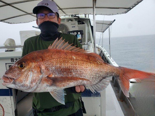 マダイ