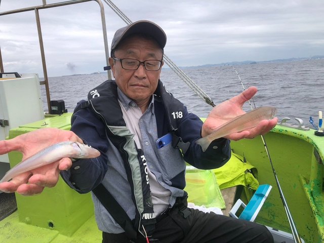 シロギス