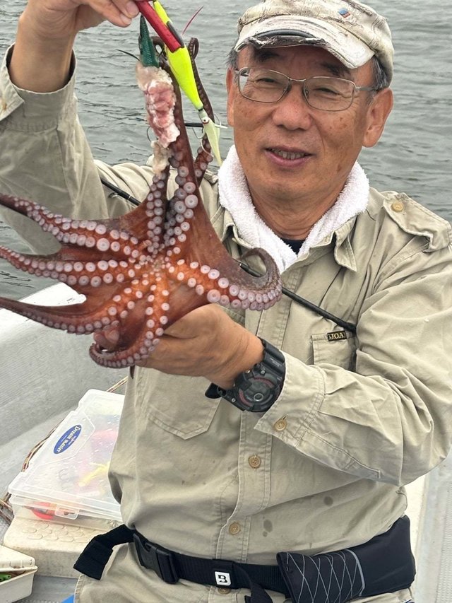 タコ(マダコ)
