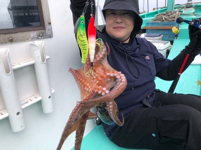マダコ