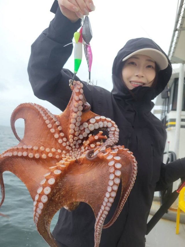 タコ(マダコ)