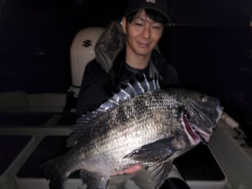 クロダイ