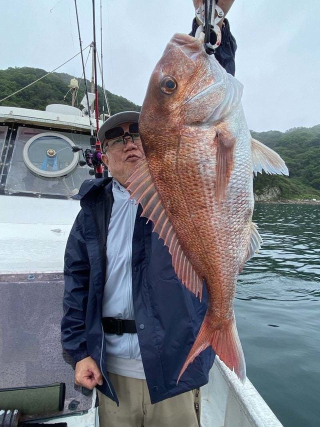 マダイ