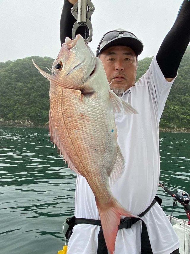 マダイ
