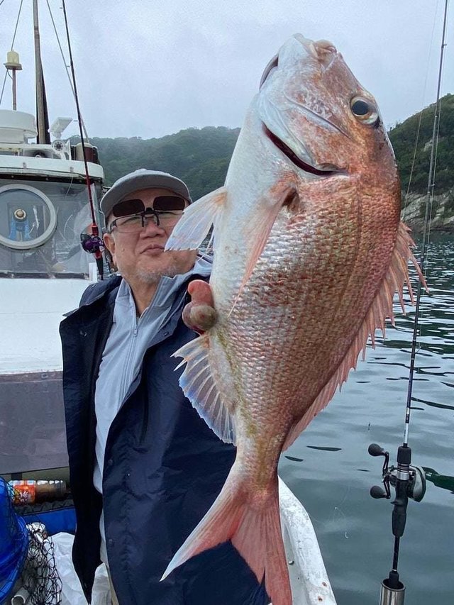 マダイ