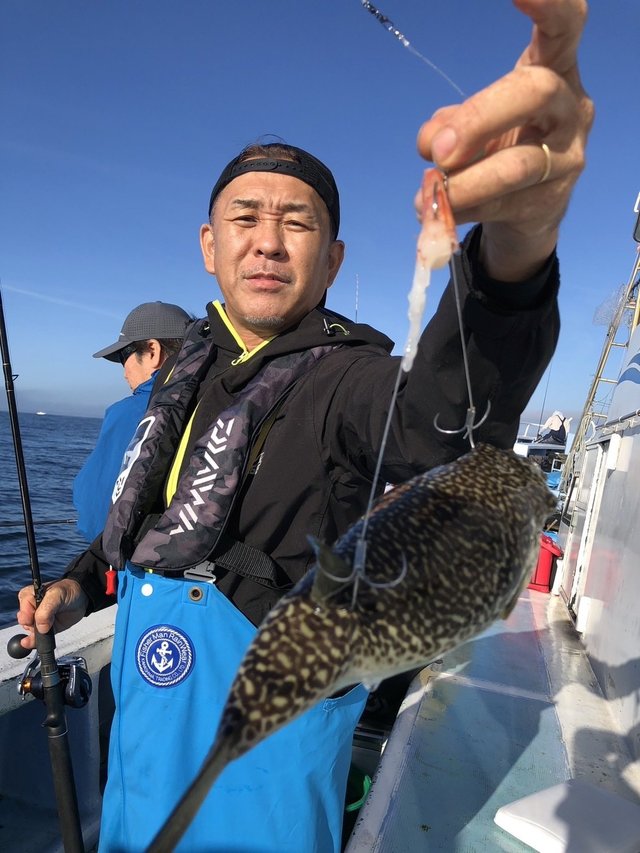 ショウサイフグ