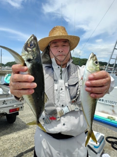 アジ(マアジ)