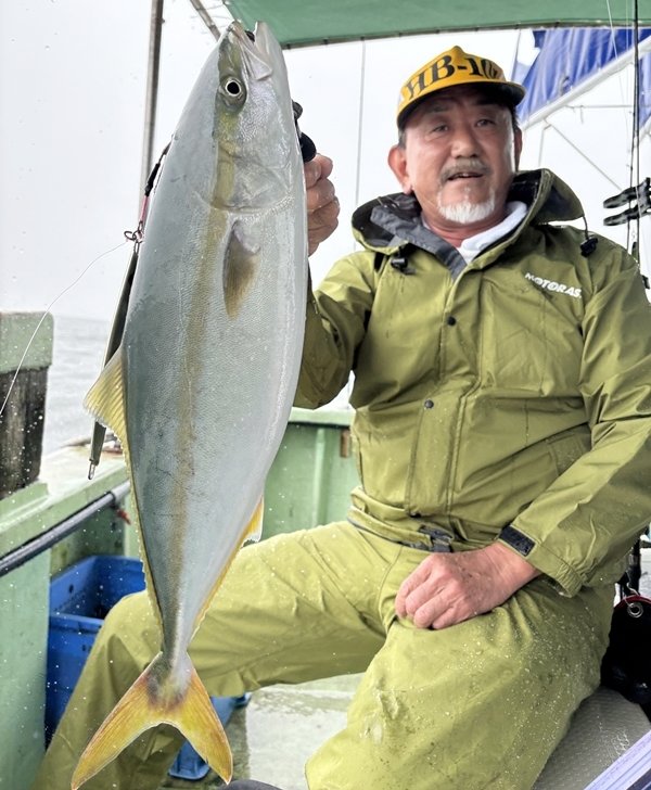 ハマチ(ブリ)