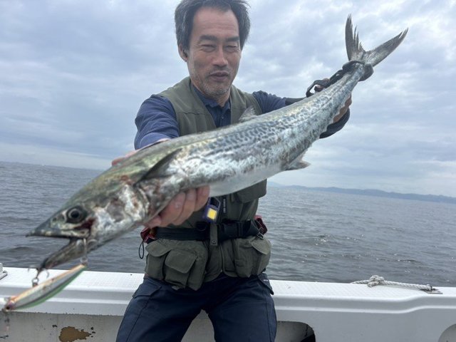 サワラ