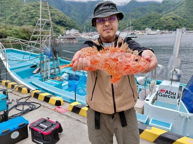 オニカサゴ