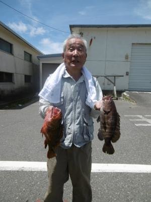 カサゴ・ハタ(マハタ)