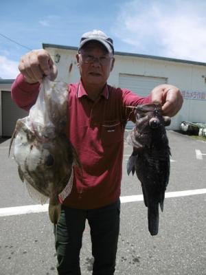 ソイ(クロソイ)・マトウダイ