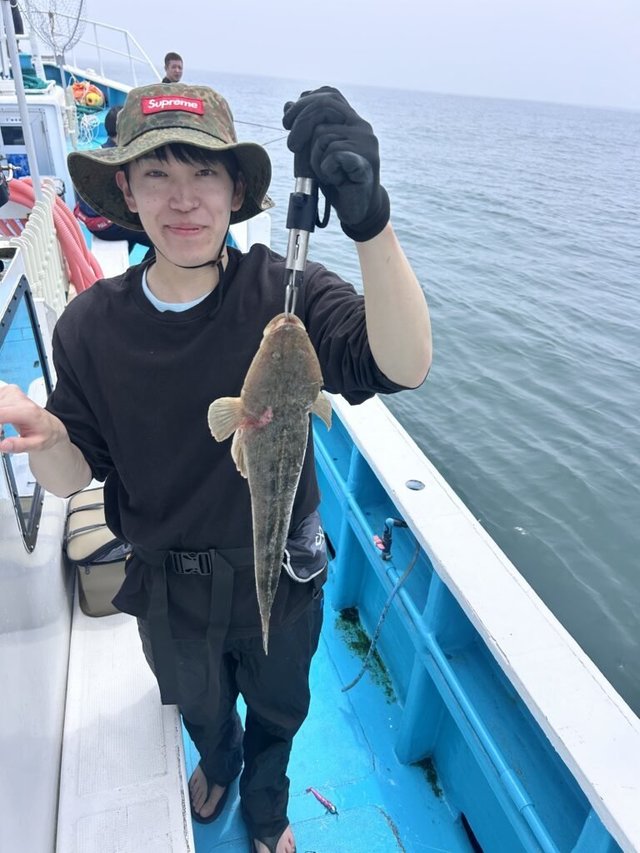 マゴチ