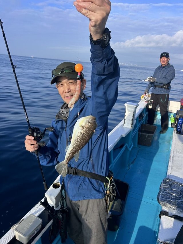 ショウサイフグ