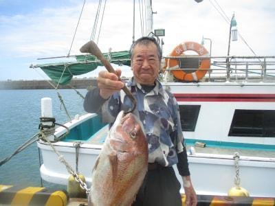 マダイ