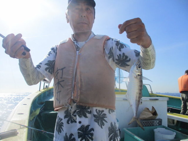 アジ(マアジ)