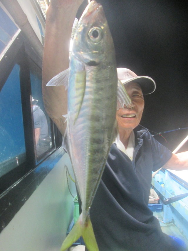 アジ(マアジ)