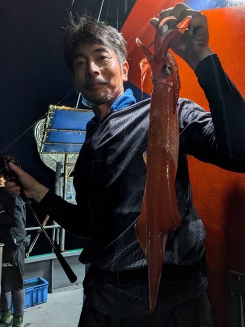 ヤリイカ