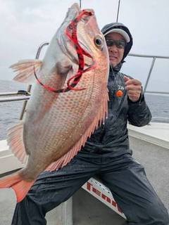 マダイ