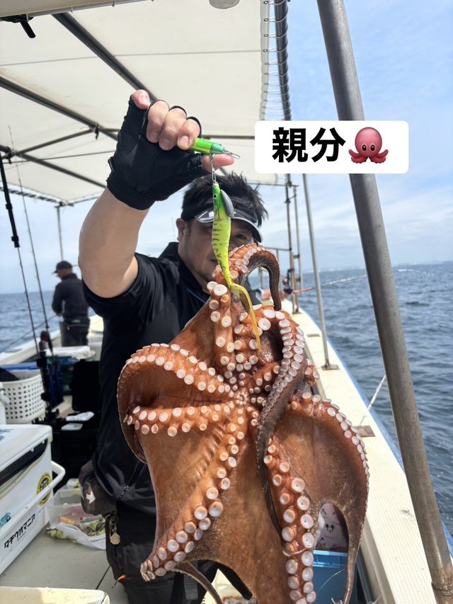 マダコ
