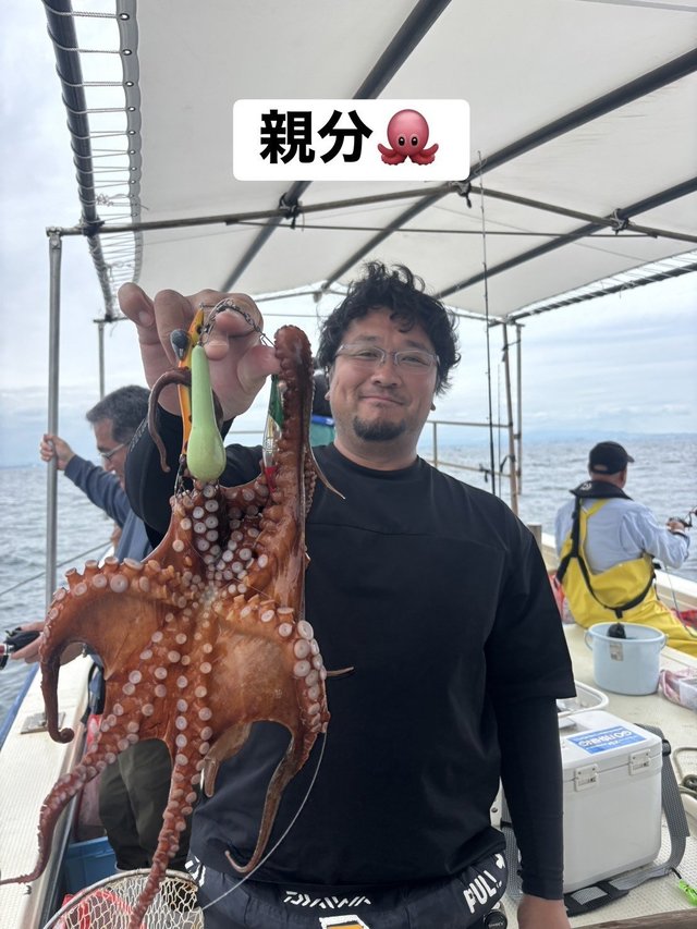 マダコ