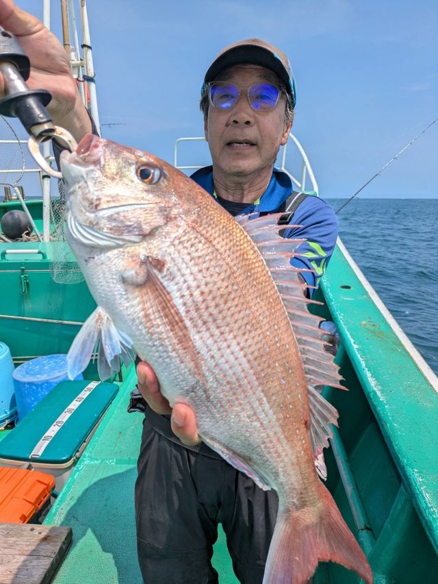 マダイ