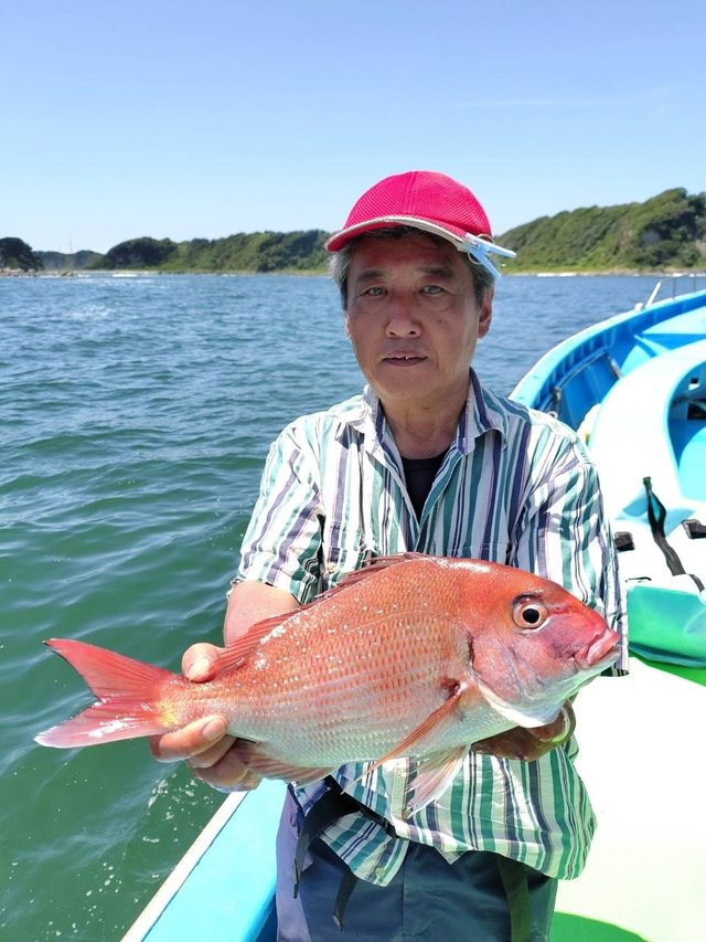 マダイ