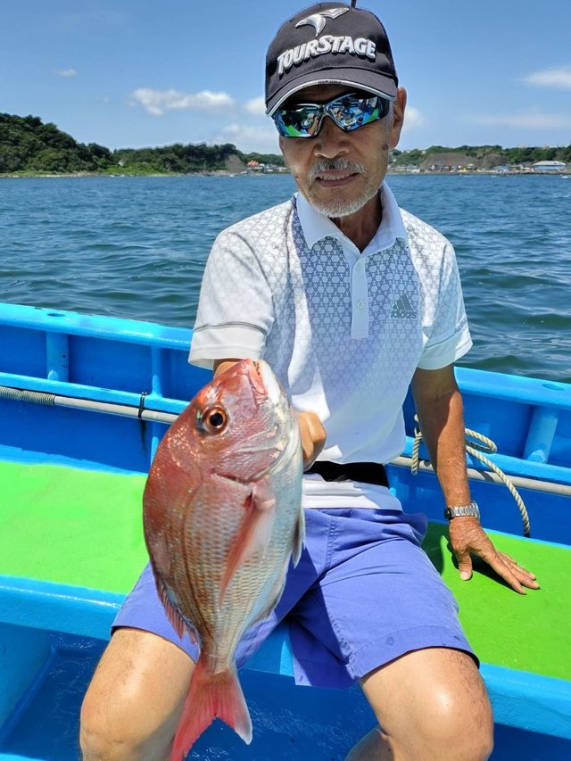 マダイ