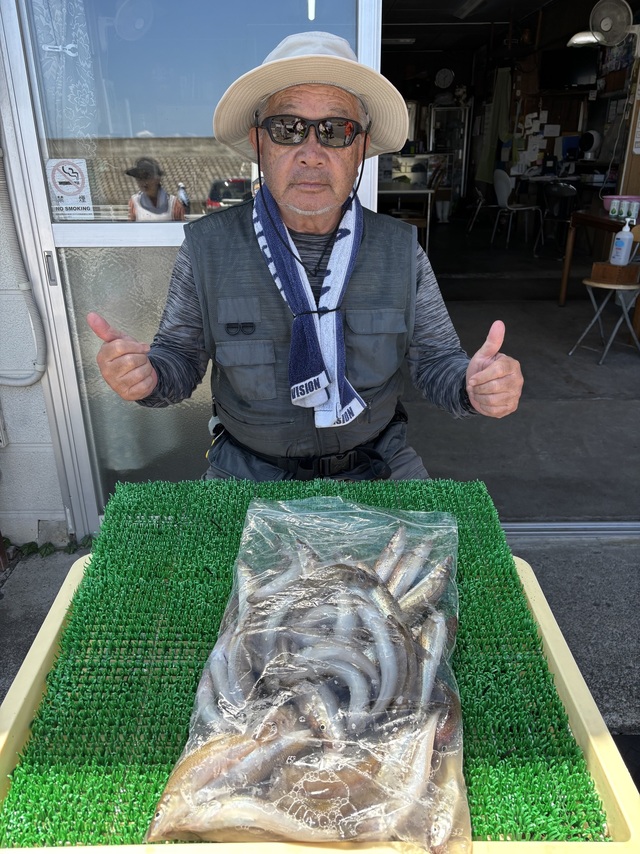 シロギス