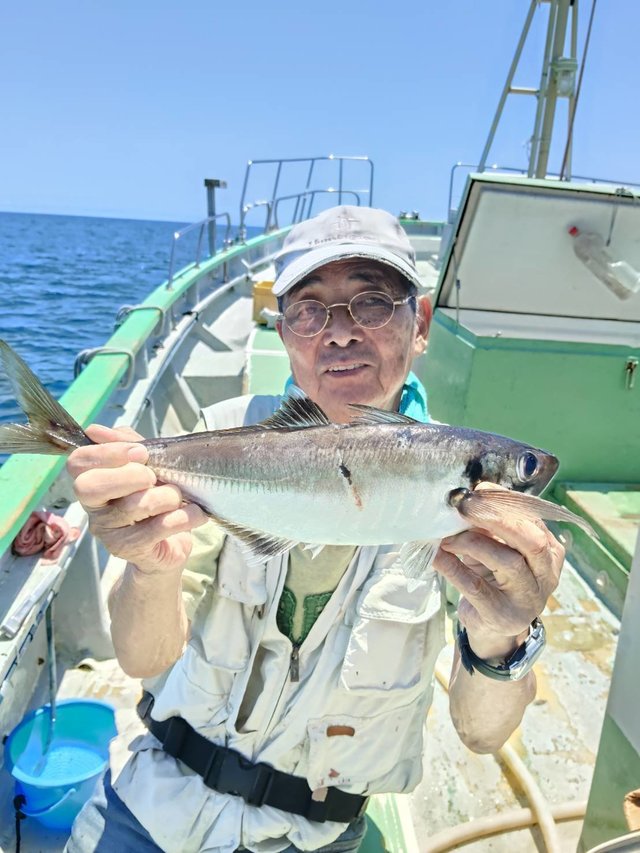 アジ(マアジ)