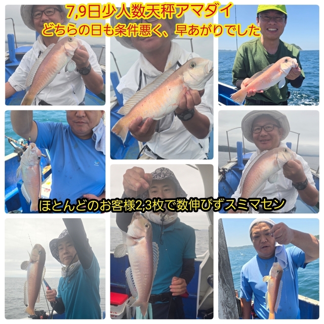 シロアマダイ