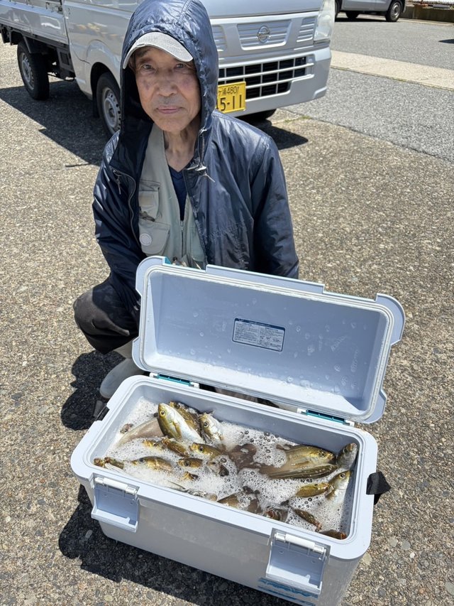 アジ(マアジ)・イサキ