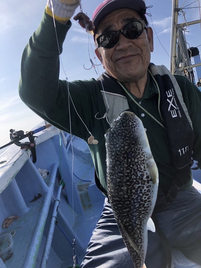 ショウサイフグ