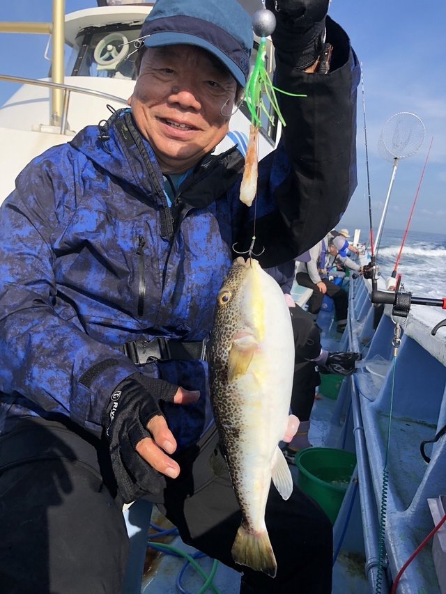 ショウサイフグ