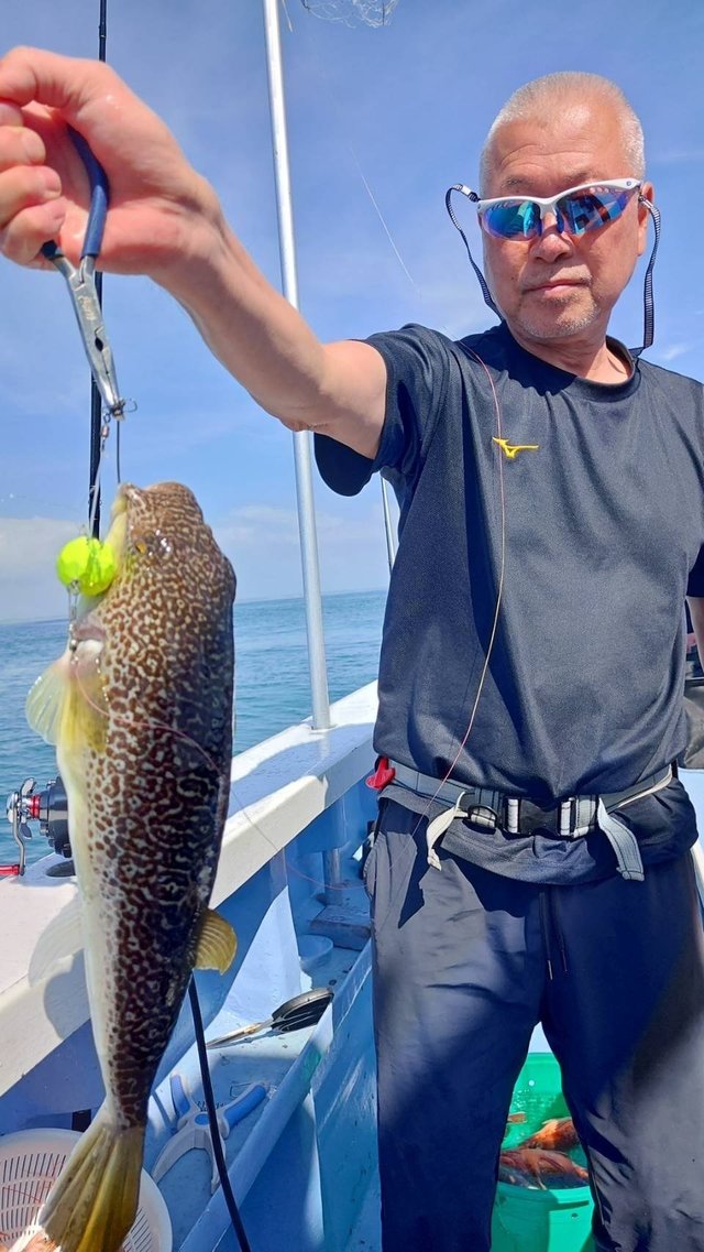 ショウサイフグ