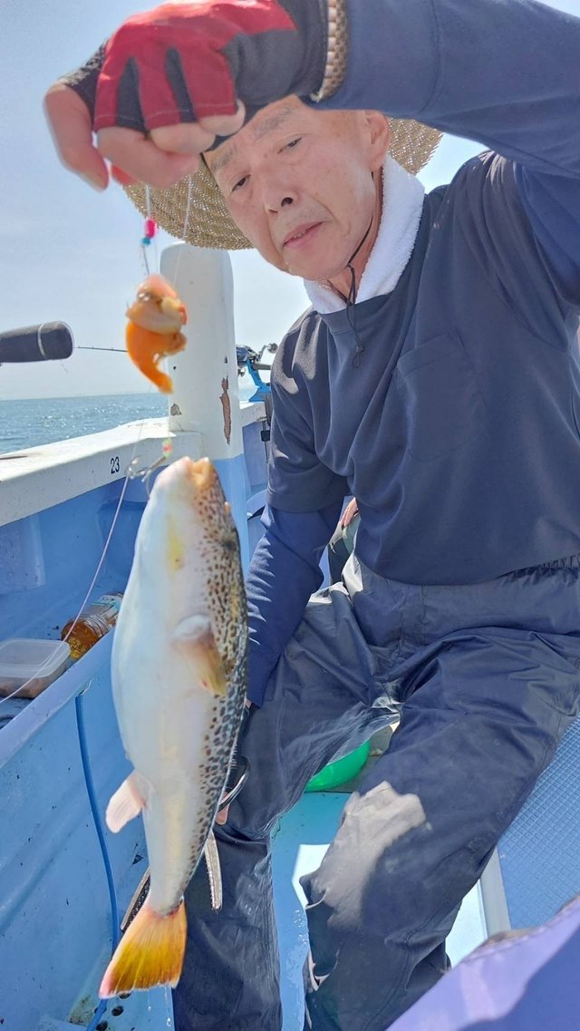 ショウサイフグ