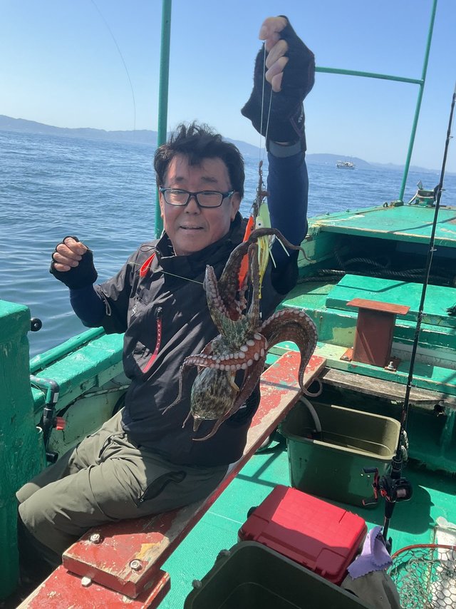 マダコ