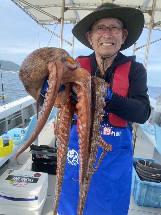タコ(マダコ)