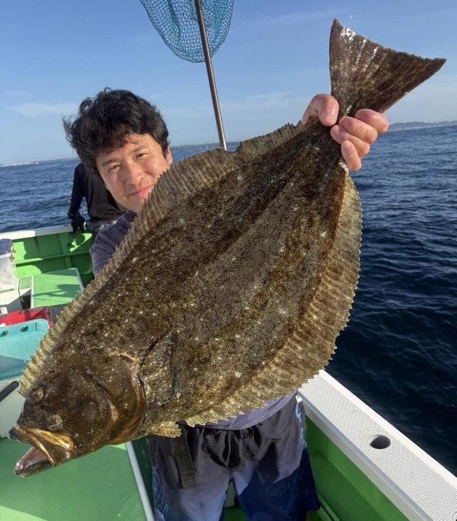ヒラメ