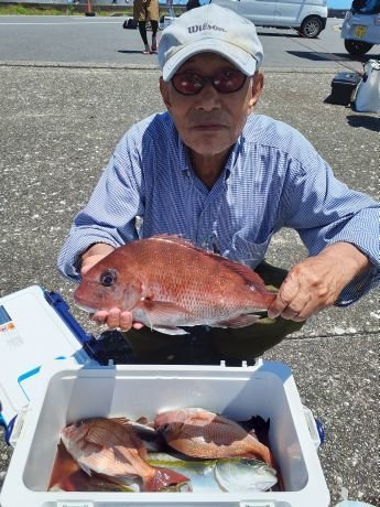 マダイ