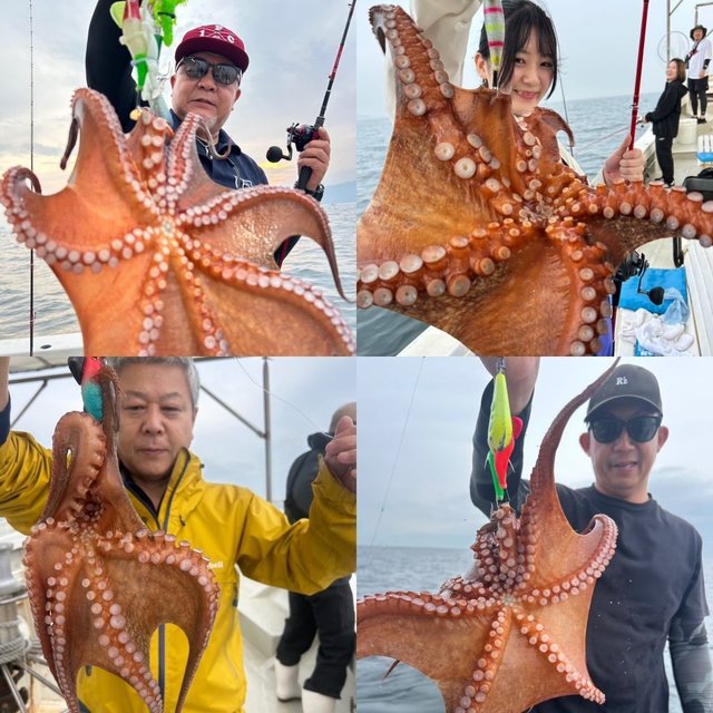 マダコ