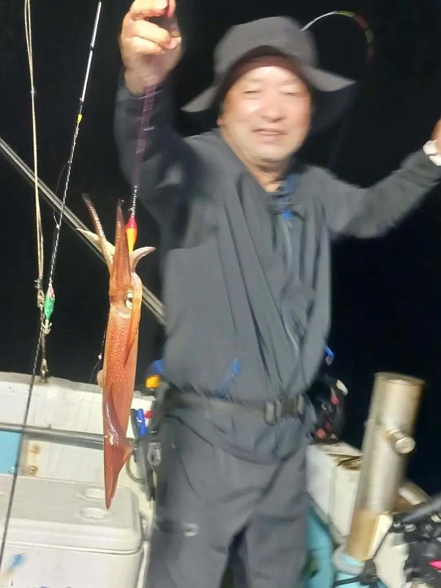 ヤリイカ