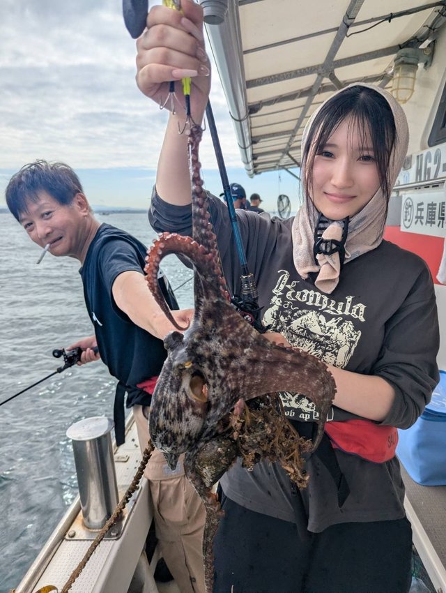 マダコ